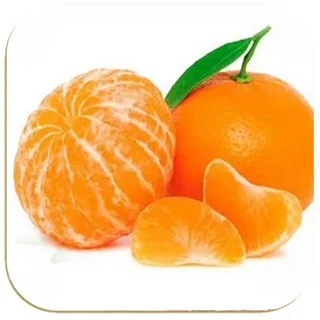خرید و فروش کنسانتره نارنگی + فروش عمده